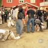 nordkap 2003 076