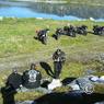 nordkap 2008 1113