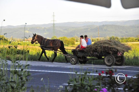 transylvanian run 087