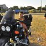 transylvanian run 411