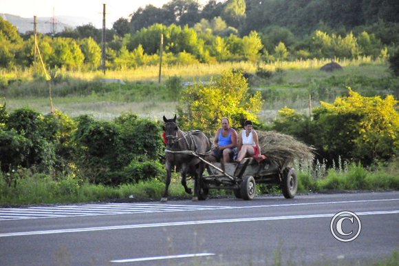 transylvanian run 086