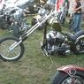 free wheels 2010 1173