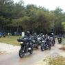 wos-2011-0037
