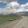 ararat11046