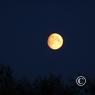 island_2012_0705