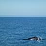 island_2012_0904