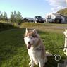 island_2012_0449