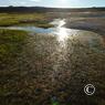 island_2012_0586