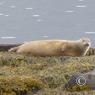 island_2012_0628