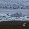 island_2012_0278
