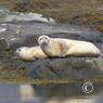 island_2012_0663